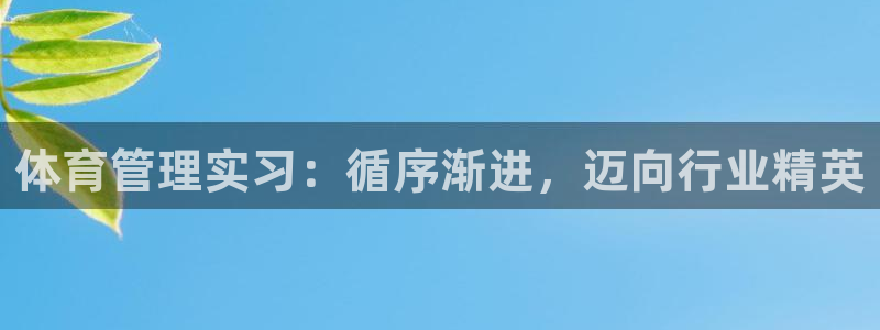 必一体育APP：体育