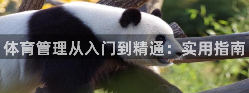 必一体育APP：体育