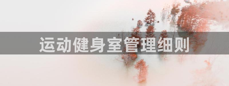 必一体育是哪里的台子