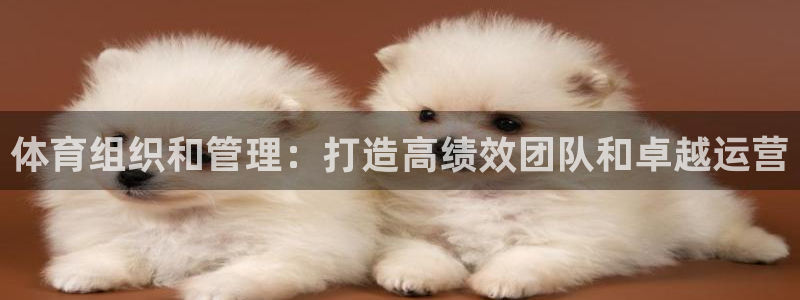 必一体育app下载安