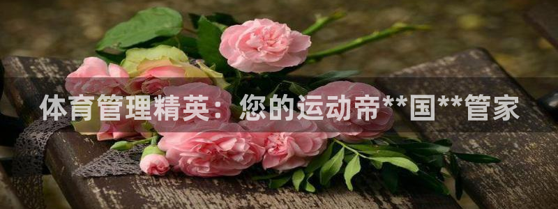 必一体育app官方下