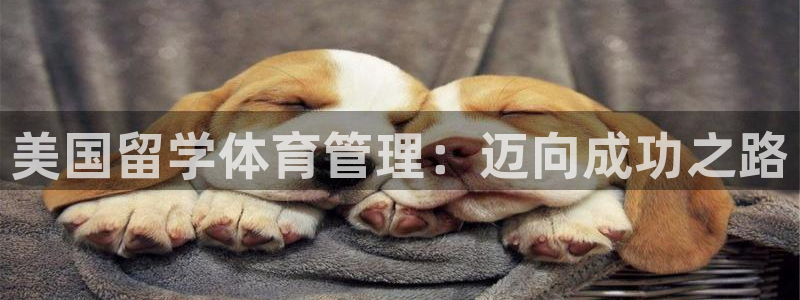 必一体育游戏玩法：美