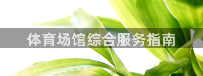 b体育必一运动网页版