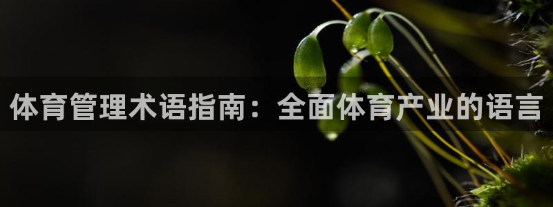 必一体育可靠吗：体育