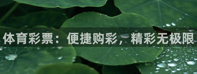 必一体育下载入口：体