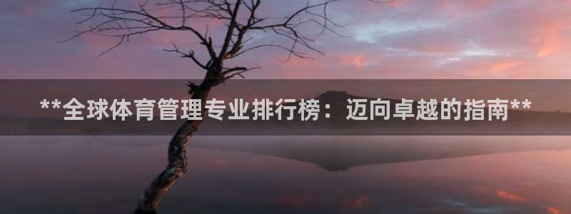 必一体育最新官网入口