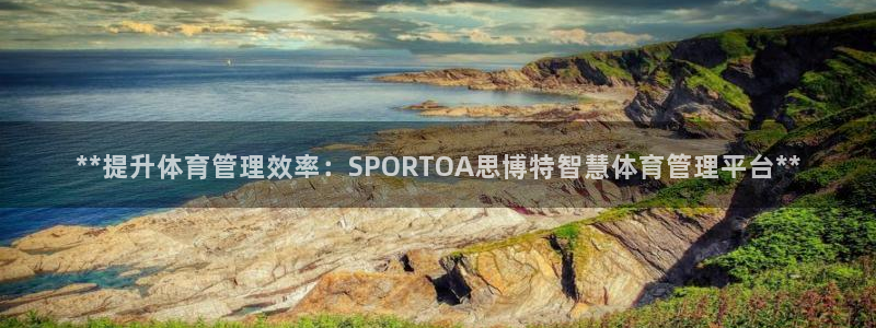 必一体育黑平台：**