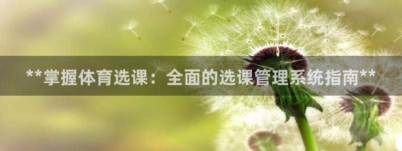 必一体育官网网站：*