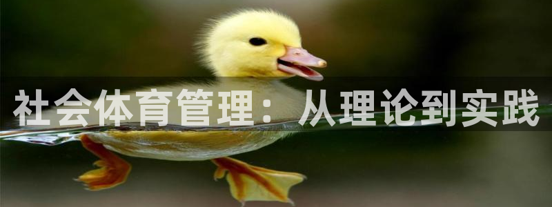 必一体育下载义：社会