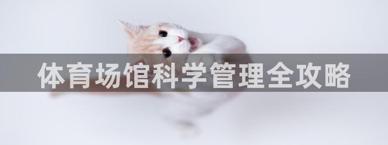 必一体育网页登录版官