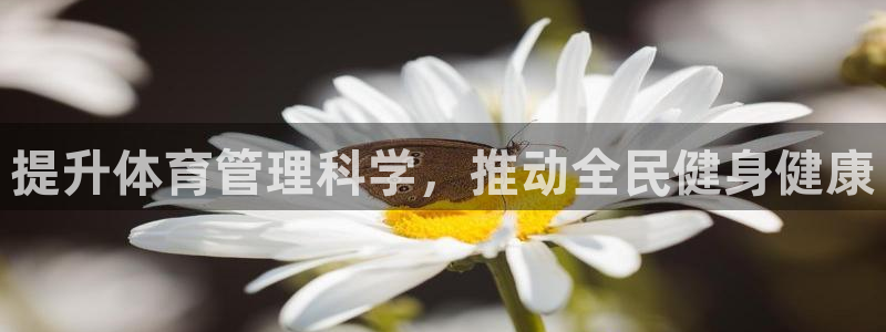 必一体育最新官网入口