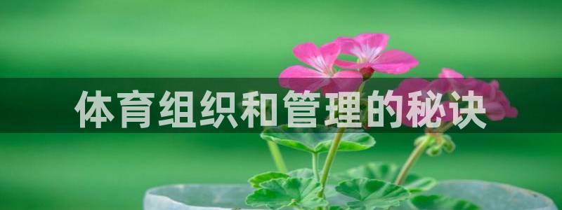 必一体育运动官网