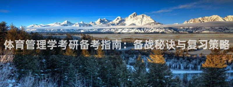 必一体育电子app