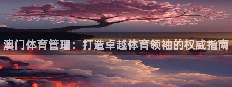 必一运动·(B-Sports)土豆：澳门体育管理：打造卓越体