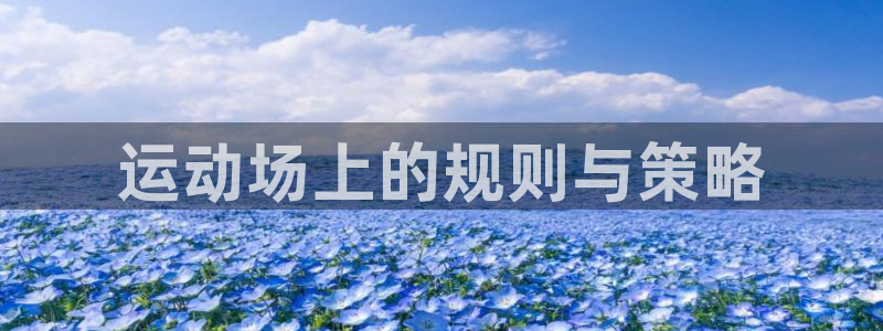 必一体育app官方下