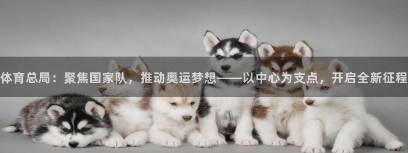 必一体育官方app下