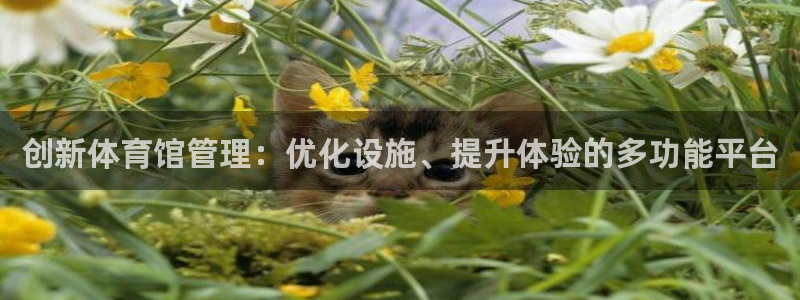 必一运动验证码：创新
