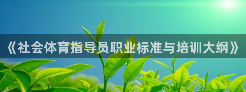必一运动：《社会体育