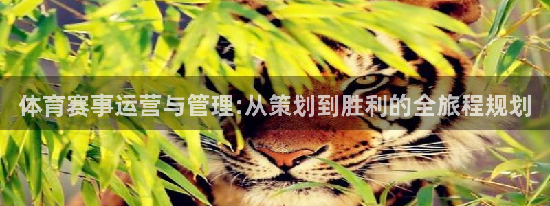 必一体育在线官网：体
