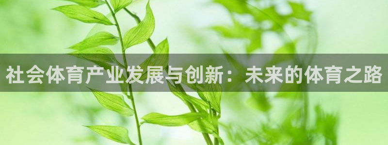 必一运动·(B-sports)：社会体育产业发展与创新：未来
