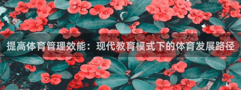 必一体育网站：提高体育管理效能：现代教育模式下的体育发展路径