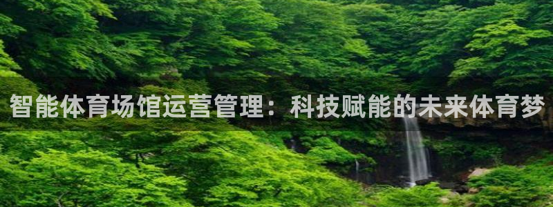 必一体育在哪下：智能体育场馆运营管理：科技赋能的未来体育梦