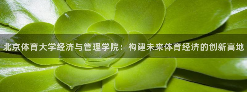 必一体育网页：北京体育大学经济与管理学院：构建未来体育经济的