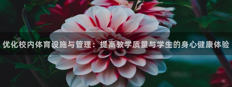 必一体育能提现大金额