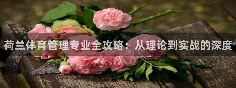 必一体育下载app：