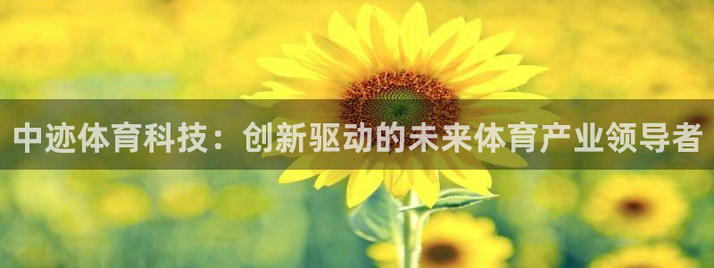 必一体育APP：中迹