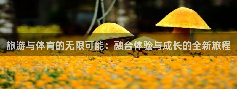 必一体育app下载最