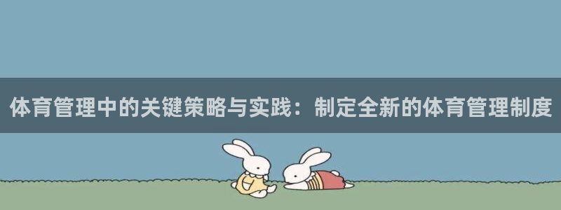 必一体育服下载最新版本更新内容：体育管理中的关键策略与实践：