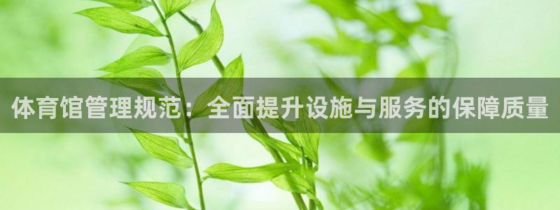 必一运动sport爱