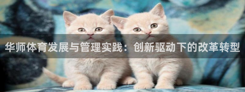 必一运动官网登录入口