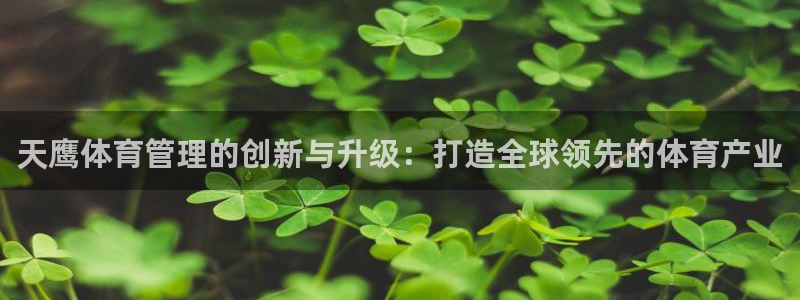 必一体育官方网站入口