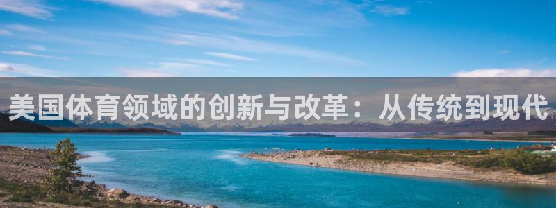 必一体育运动app：美国体育领域的创新与改革：从传统到现代