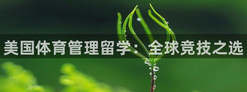 必一运动官网登录入口