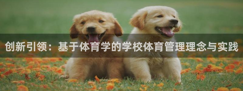 Bsport体育必一
