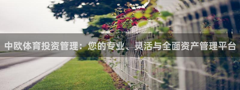 必一体育游戏特色：中