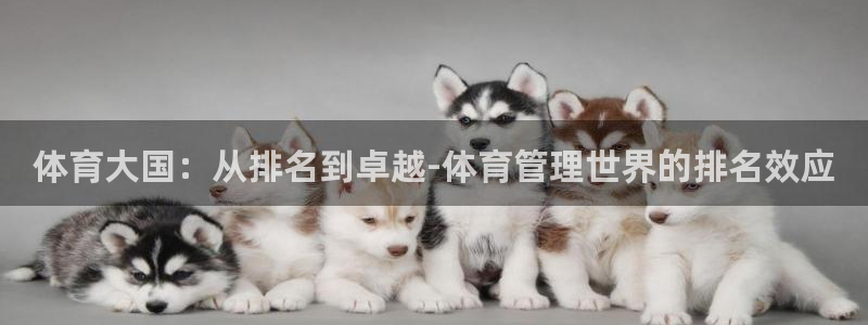 必一运动体育：体育大