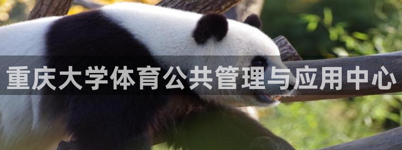 必一体育sport官