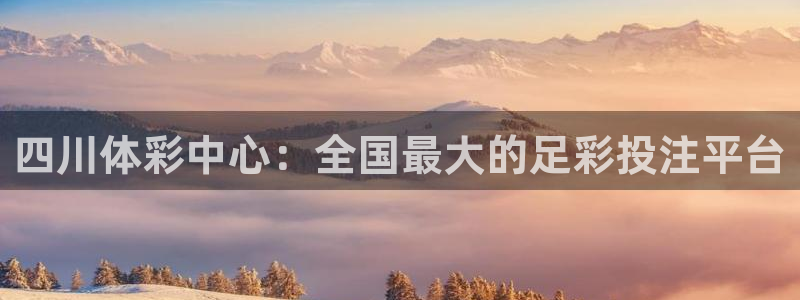 必一体育sport装