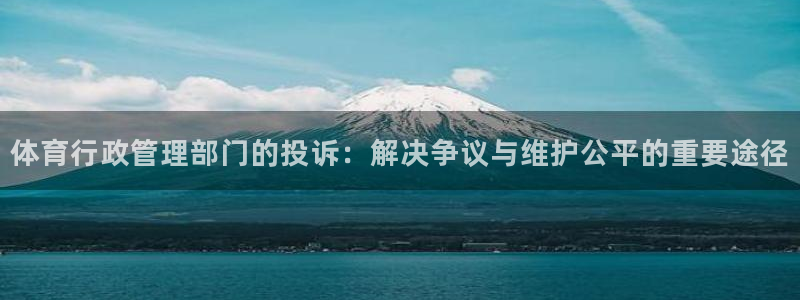 必一体育秀给网：体育行政管理部门的投诉：解决争议与维护公平的
