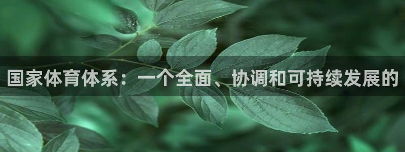 必一运动sport网页版：国家体育体系：一个全面、协调和可持