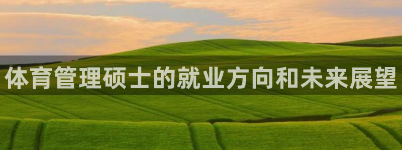 b体育官网下载入口a