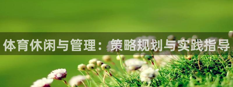 必一体育登录APP下载：体育休闲与管理：策略规划与实践指导