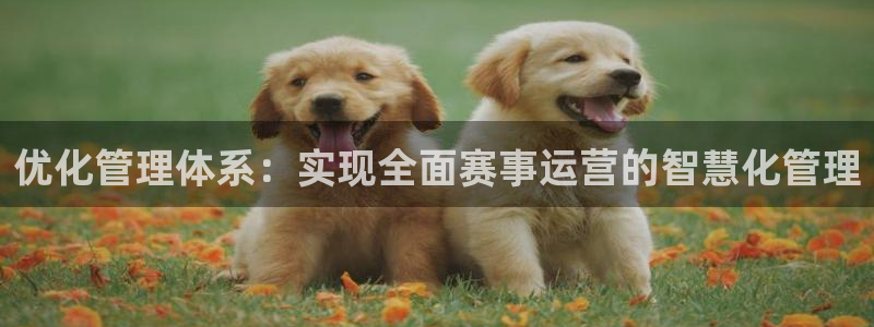 必一运动体育app：