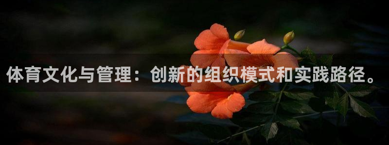 b体育官网下载入口a