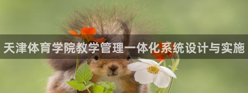 必一体育游戏玩法：天