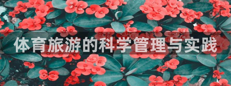 必一体育